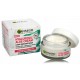 Garnier Skin Naturals Hyaluronic Aloe Cream drėkinamasis veido kremas