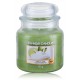 Yankee Candle Vanilla Lime aromatinė žvakė