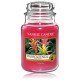 Yankee Candle Tropical Jungle aromatinė žvakė