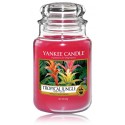 Yankee Candle Tropical Jungle aromatinė žvakė