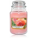 Yankee Candle Sun-Drenched Apricot Rose aromatinė žvakė