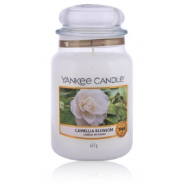 Yankee Candle Camellia Blossom aromatinė žvakė