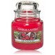 Yankee Candle Red Raspberry aromatinė žvakė