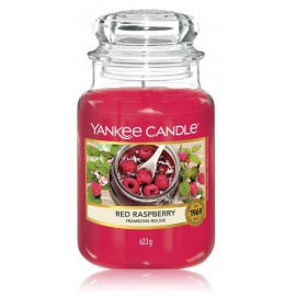 Yankee Candle Red Raspberry ароматическая свеча