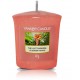 Yankee Candle The Last Paradise aromatinė žvakė