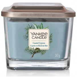 Yankee Candle Elevation Coastal Cypress aromatinė žvakė