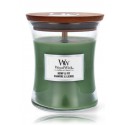 WoodWick Hemp & Ivy aromatinė žvakė