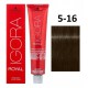 Schwarzkopf Professional IGORA Royal profesionalūs plaukų dažai 60 ml.