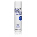 Artego Easy Care T Clarity Shampoo plaukų šampūnas nuo pleiskanų