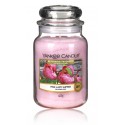 Yankee Candle Pink Lady Slipper aromatinė žvakė