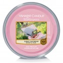 Yankee Candle Sunny Daydream ароматический воск