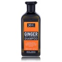 Xpel Ginger питательный шампунь против перхоти