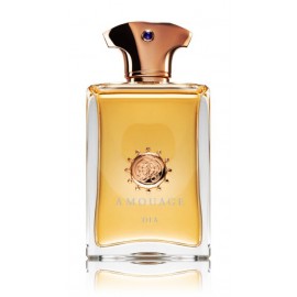 Amouage Dia pour Homme EDP kvepalai vyrams