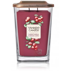 Yankee Candle Elevation Candied Cranberry aromatinė žvakė