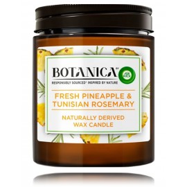 Air Wick Botanica Fresh Pineapple & Tunisian Rosemary aromatinė žvakė