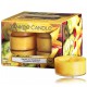 Yankee Candle Tropical Starfruit aromatinė žvakė