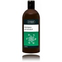 Ziaja Nettle Anti-Dandruff Shampoo šampūnas nuo pleiskanų su dilgėlių ekstraktu