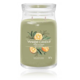 Yankee Candle Signature Collection Sage & Citrus ароматическая свеча