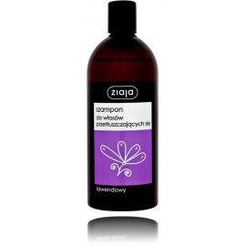 Ziaja Lavender шампунь для жирных волос с экстрактом лаванды