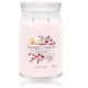 Yankee Candle Pink Cherry & Vanilla aromatinė žvakė