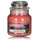 Yankee Candle Cliffside Sunrise aromatinė žvakė