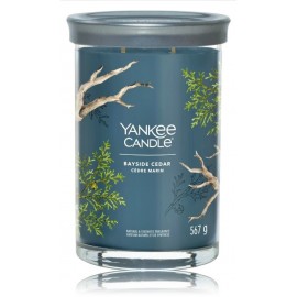 Yankee Candle Signature Tumbler Bayside Cedar aromatinė žvakė