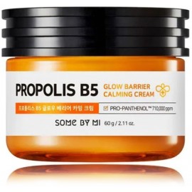 Some By Mi Propolis B5 raminamasis veido kremas