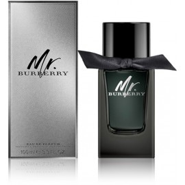 Burberry Mr. Burberry EDP духи для мужчин