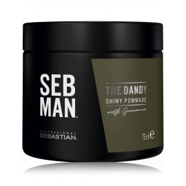 Sebastian Professional SEB MAN The Dandy Shiny plaukų pomada vyrams 75 ml.