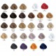 Alfaparf Evolution of the Color ilgalaikiai profesionalūs plaukų dažai 60 ml.